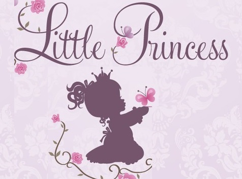 Gradinita & Cresa Little Princess